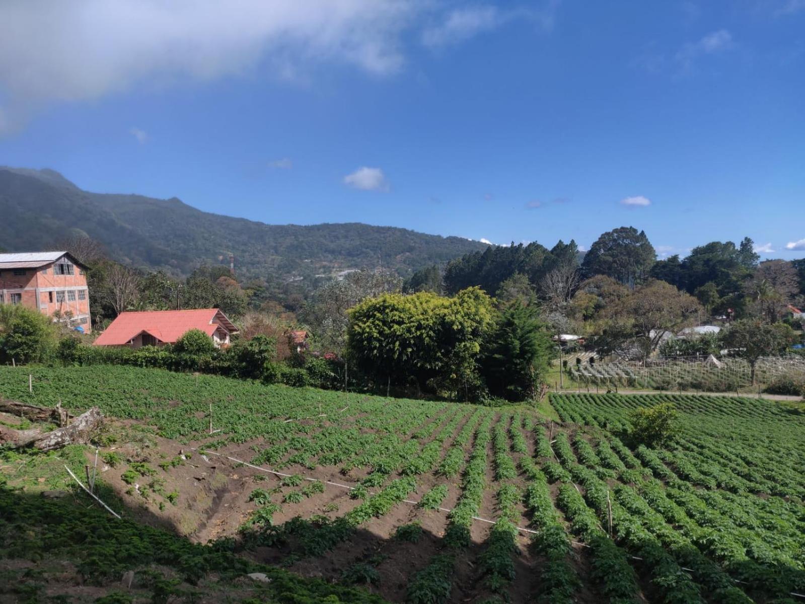 Agartha Mountain Retreat Boquete Exterior foto